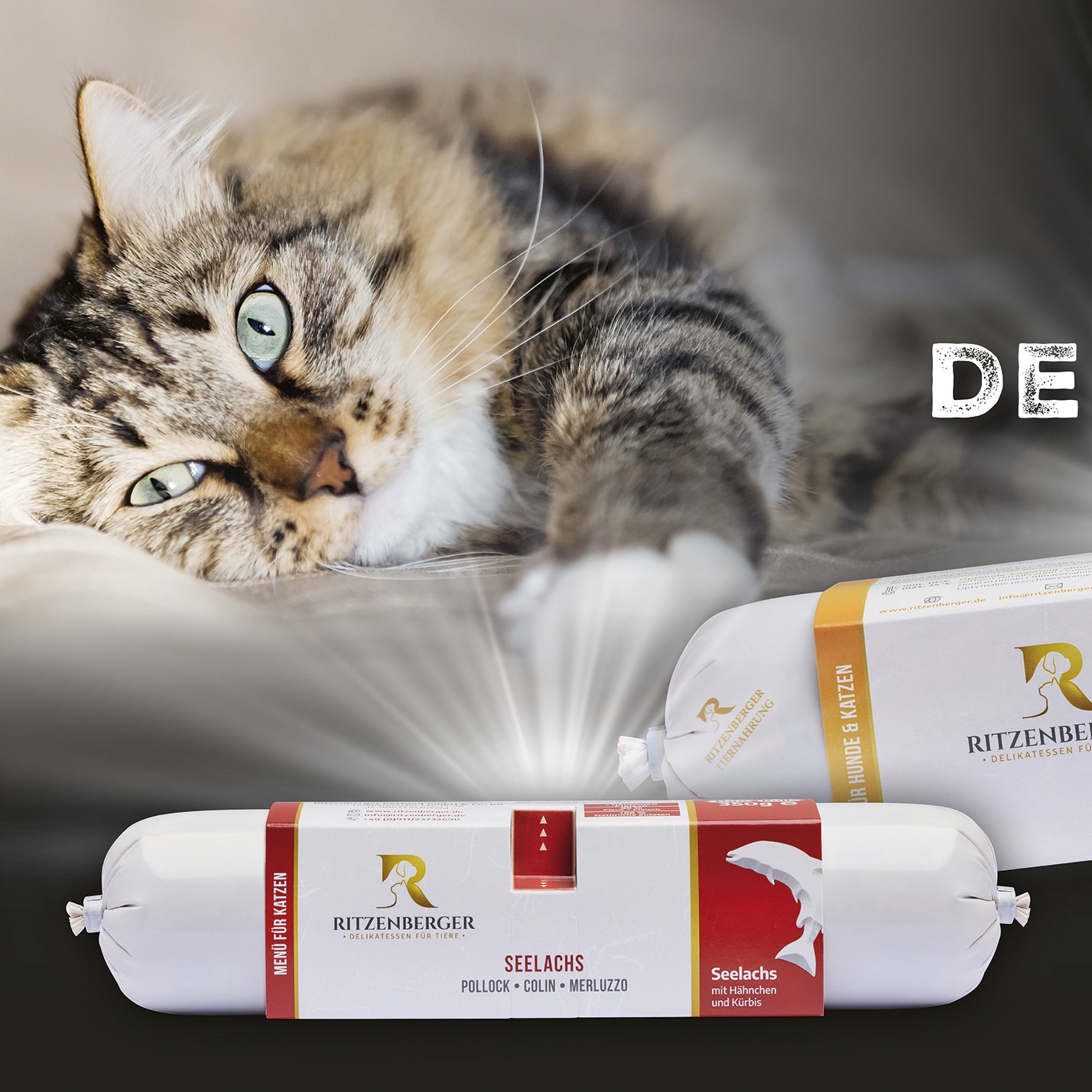 Teaser Quadrat verlinkt, Outdoor-Großformat Werbebanner Ritzenberger Tiernahrung für Hunde und Katzen; Motiv zeigt Hund und Katze auf dunklem Hintergrund, im Zentrum Produkte Tiernahrung, unten Kontaktinfos 