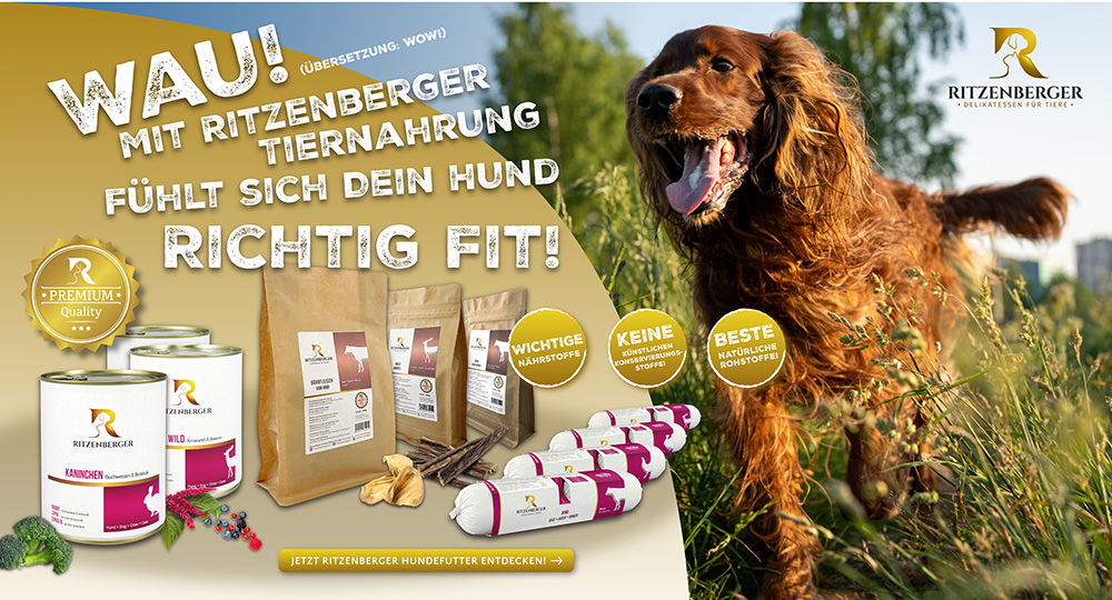 Großer Teaser, der wie Anzeige anmutet: Im Vordergrund Composing von Tierfutterprodukten, im Hintergrund vitaler brauner Spaniel, der durch eine Wiese rennt.