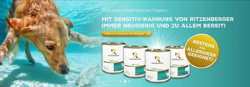 Slider Sensitiv-Nahrung: Hund taucht unter türkisfarbenes Wasser, um Muschel am Grund zu beschnuppern; im Vordergrund Dosen und Beschreibung Sensitiv-Nahrung