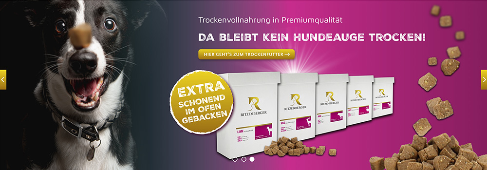 Slider Trockenfutter: Lustiger schwarzweißer Hund versucht Leckerli mit offenem Maul zu fangen; im Vordergrund Reihe Trockenfutterkartons nach hinten kleiner werdend, auf pinkfarbenem Hintergrund; Beschreibung und Slogan Trockenfutter