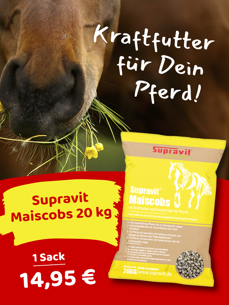 Teaser Pferde-Kraftfutter: Nahaufnahme malmende Pferdeschnauze mit Wiesenpflanzen im Maul, im Vordergrund Verpackung Kraftfutter, darunter Preislabel mit Angebot