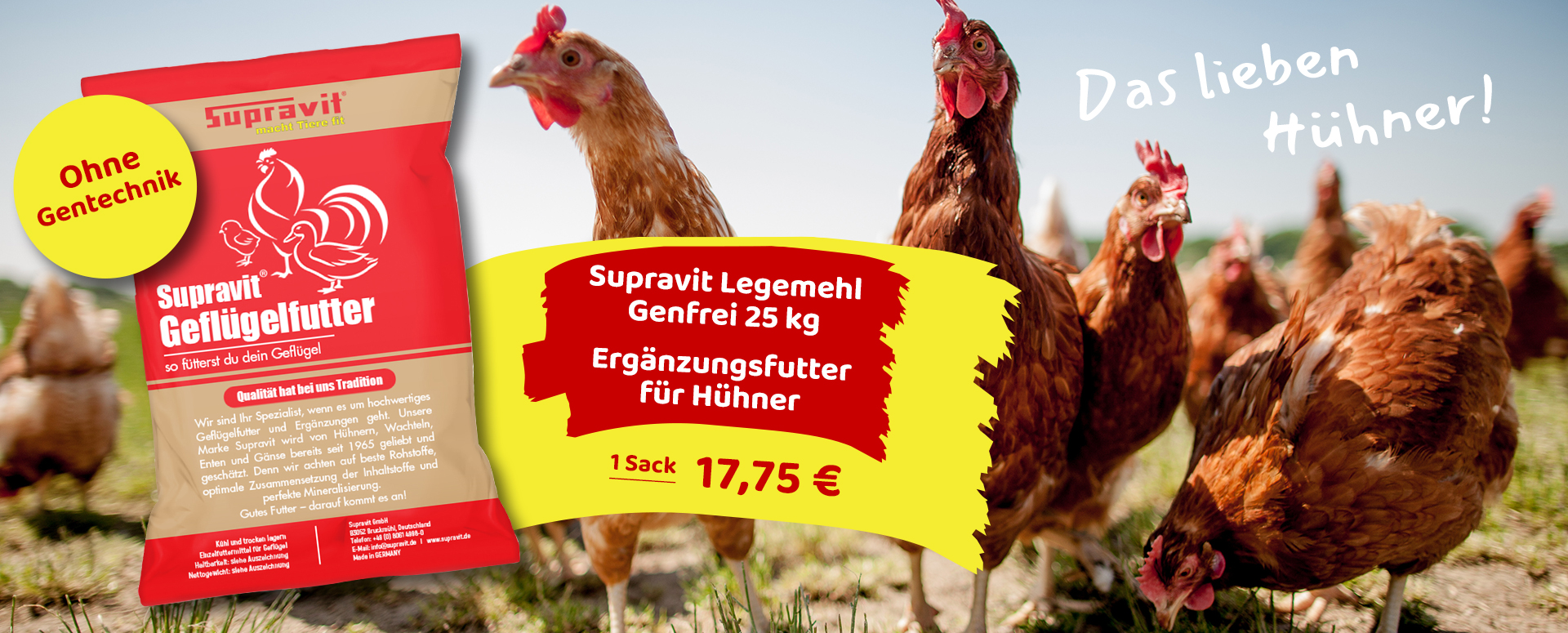 Referenz Slider Geflügelfutter: Nahaufnahme schöne neugierige Hühner in Freilandhaltung, im Vordergrund Artikel Verpackung Geflügelfutter und Preislabel